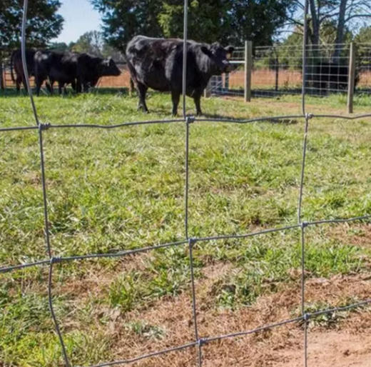 Welded Woven Hlau Fencing